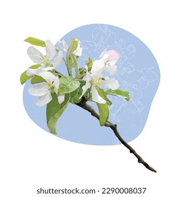 Apple tree branch with flowers and leaves on a blue background