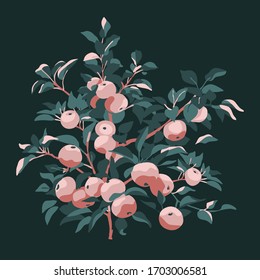 Apple tree branch on a dark background. Vector illustration