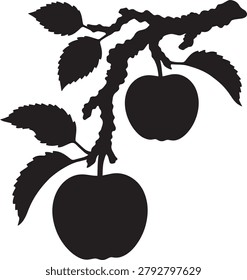 Apple tree branch, organic fruit, natural orchard growth.