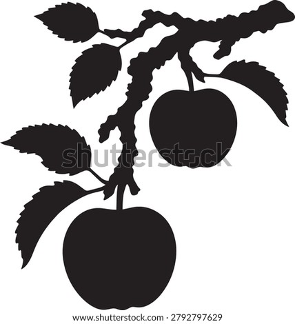 Apple tree branch, organic fruit, natural orchard growth.