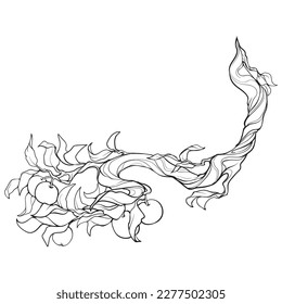 Apple tree branch with red apples and green leaves. Decorative hand drawn design element. Black line drawing isolated on white background. EPS10 vector illustration