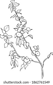 Apple tree branch vector illustration