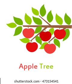 Apple tree branch. Vector illustration