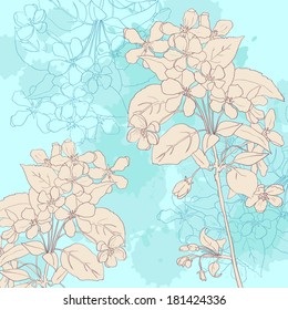 apple tree branch at vintage background, vector illustration
