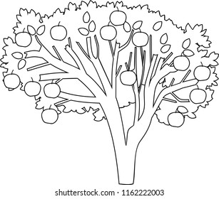 Apple tree coloring page