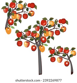 An apple tree is covered in ripe apples.