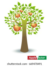 Apple tree and delicious red fruits.