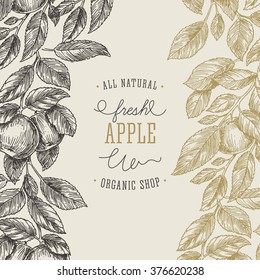 Apple tree design template. Apple leaf engraved illustration. Vector illustration
