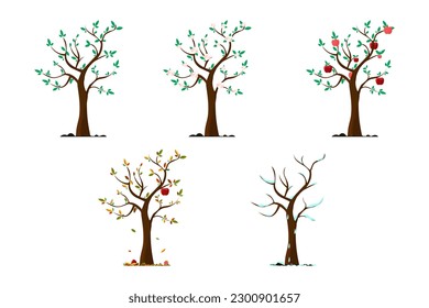 Apfelbaum in verschiedenen Jahreszeiten. Baum im Herbst. Apfelbaum im Winter, Sommer, Frühling.