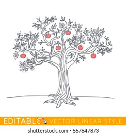 Apple Tree Drawing. Editable Line Sketch. Stock Vector Illustration.