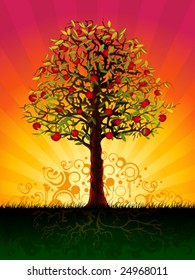 Apple tree in the evening