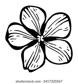 Apple tree flower bud sketch. Hand drawn graphics illustration.