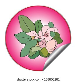 Apple tree flower sticker isolated on white