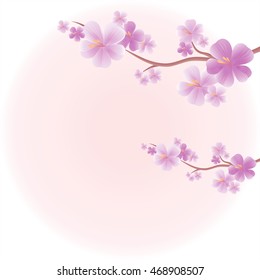 Apple tree flowers. Branches of sakura with Purple flowers isolated on Light Pink color background. Cherry blossom branches. Vector