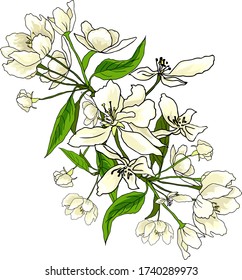 Designelement für Apfelblumen