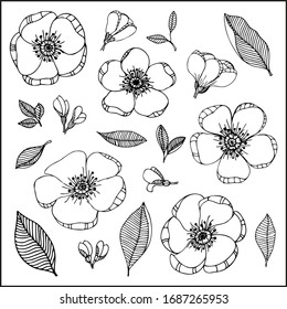 Apple tree flowers leaves vector pattern