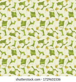 Apple tree flowers seamless pattern. EPS10 vector illustration.