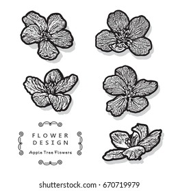 Apple Tree Flowers, Set of Cherry Blossom. Beautiful Vector Illustration Isolated on White Background.
The result of black and white auto-trace adapted for easy use.