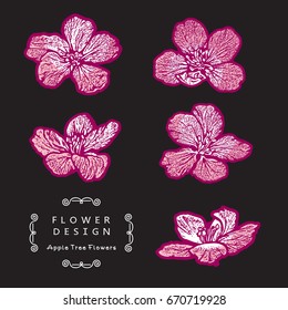 Apple Tree Flowers, Set of Pink Cherry Blossom. Beautiful Vector Illustration Isolated on Black Background.
The result of black and white auto-trace adapted for easy use.