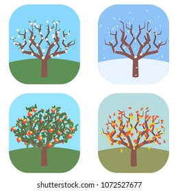 apple tree at four seasons, vector cartoon illustration in flat style