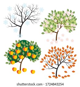 Apple tree in four seasons-winter, spring, summer and autumn. a drawing in the style of the cartoon. stock vector illustration. EPS 10.