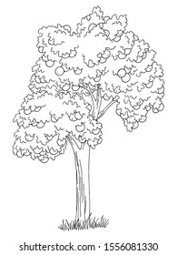 10,553 Apple tree outline Images, Stock Photos & Vectors | Shutterstock