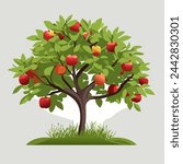 Apple tree with fruit, summer time. Illustration vector, 10 eps
