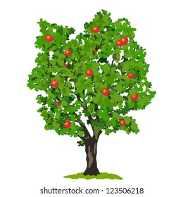 Apple tree with fruits