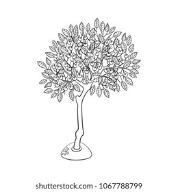 Apple tree with apple fruits and big foliage icon. Monochrome illustration with forest, garden plant. Vector sketch spring or summer, ecology and environment symbol on isolated background.