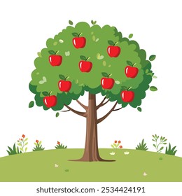 apple tree with full of red apples in garden