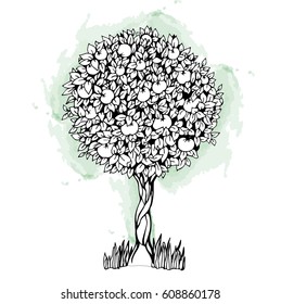 Apple tree full of ripe apples. Tree drawing leaves, apples, graphic vector