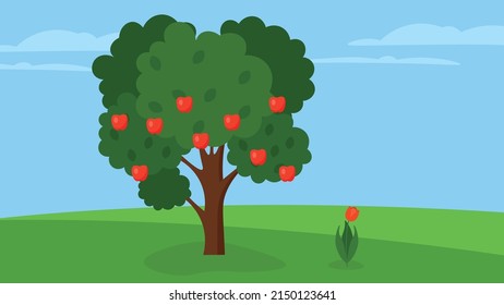 apple tree in the garden