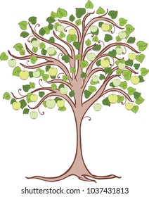 Apple tree with green apples
