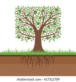 Apple tree with green apples and roots. Soil cut. Gardening concept. Flat design, vector illustration.