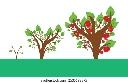 Fases de crescimento da macieira. Ciclo de crescimento das árvores. Planta de cultivo agrícola, mudança de arbusto de maçã. Conceito de plantação isolada