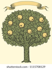 Apple Tree. Hand Drawn Engraving. Editable Vector Vintage Illustration. Isolated On White Background. 8 EPS