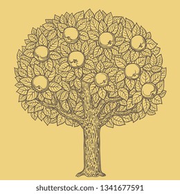 Apple Tree. Hand Drawn Engraving. Editable Vector Vintage Illustration. Isolated On Color Background. 8 EPS 