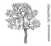 Apple tree hand drawn vector illustration