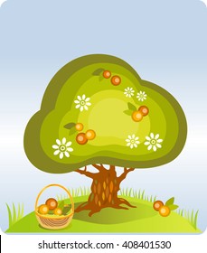 Apple tree harvesting. Vector Illustration of an apple tree, a ladder and a basket with harvested apples. Vector