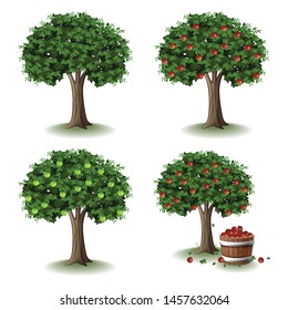 Apple Tree Illustration Collections Set