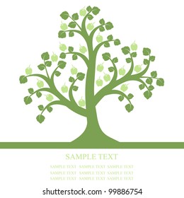 Apple tree isolated on black background