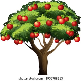 Apple tree isolated on white background illustration