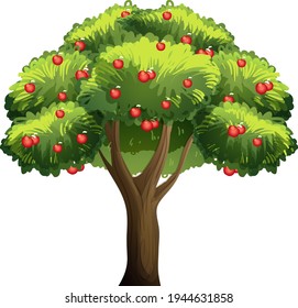 Apfelbaum einzeln auf weißem Hintergrund, Vektorgrafik