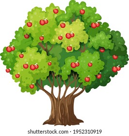 Apple tree isolated on white background illustration