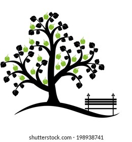 Árbol de manzana aislado en blanco