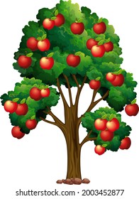 Apple tree isolated on white background illustration