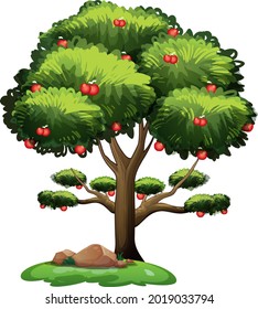 Árbol de Apple aislado en ilustración de fondo blanco