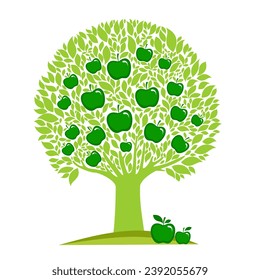 Apple tree isolated on white background. Farming concept, tree with fruits and big  green apples near it, harvest infographic elements. Vector illustration in flat design