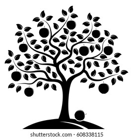 Árbol de manzana aislado sobre fondo blanco