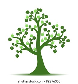 Apple tree isolated on white background